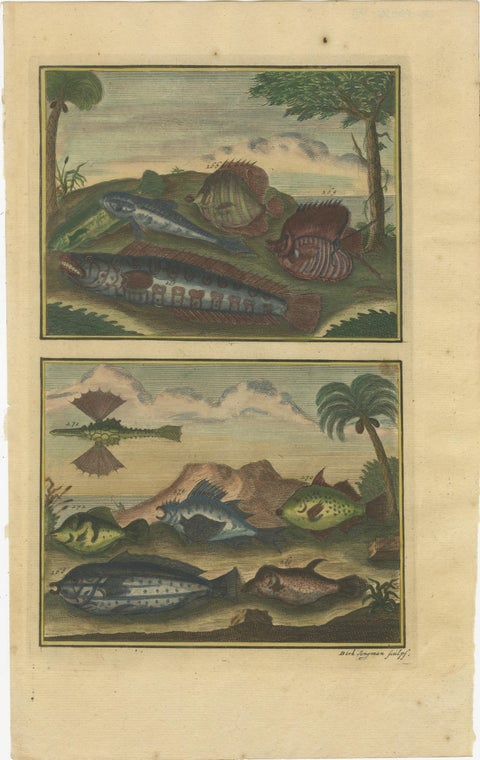 Set of 12 Colored Antique Prints of Various Fishes and Crustaceans, view 7