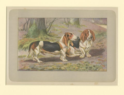 Antique Dog Print of the Basset Hound, view 3