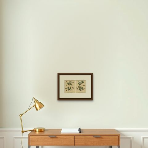 Antique English Moths & Caterpillars on Woodland Plants, Hand-Colored 1720, shown framed on a wall