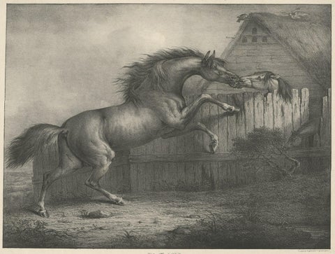 Original Antique Lithograph of a Horse Showing the Passion 'Love', 1827, close-up 1