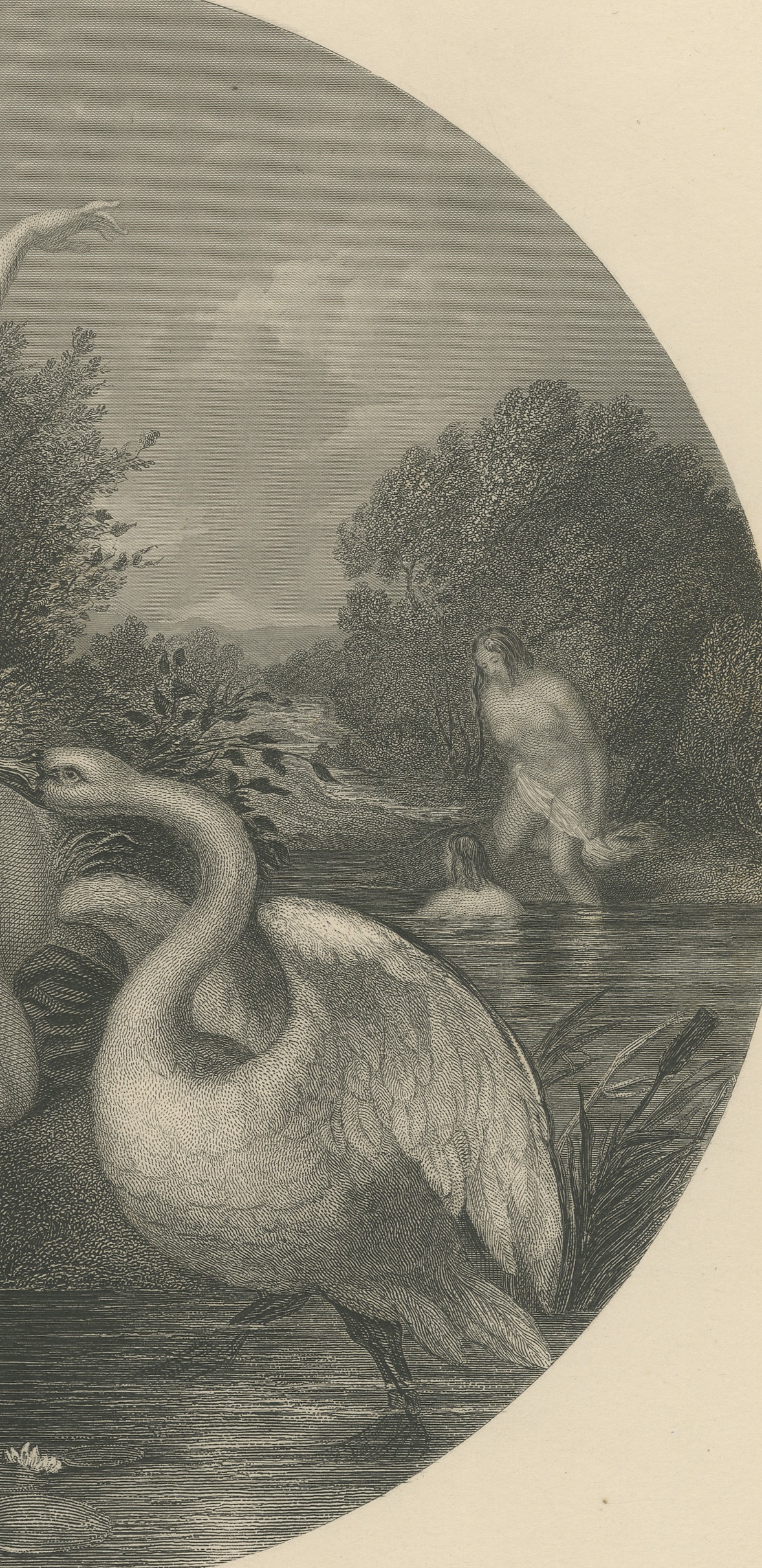 Bathers Surprised by a Swan after William Etty, Engraving by Portbury, c. 1860, view 4