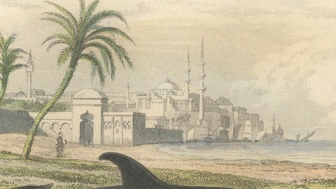 Le Dauphin Vulgaire (Common Dolphin), Hand-Colored Engraving, 1840, close-up 3