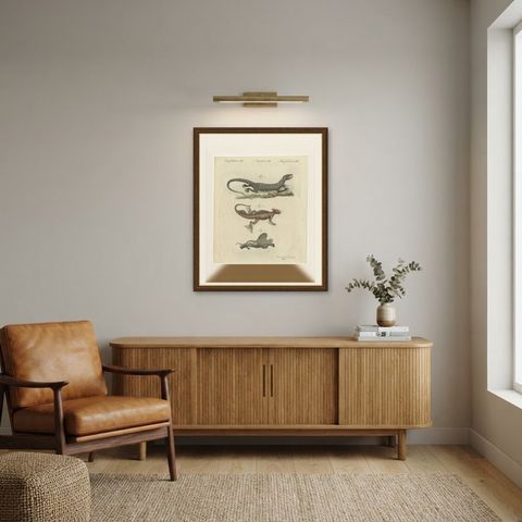 Monitor, Basilisk and Flying Dragon, Antique Bertuch Print, Vienna, circa 1805, shown framed in a room