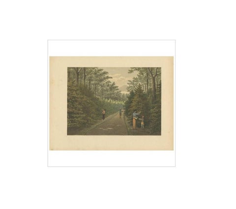 Antique Print of Fruit Farming on Java by M.T.H. Perelaer, 1888, view 4
