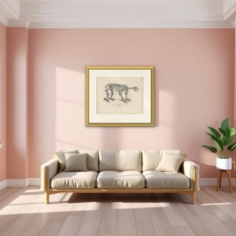 Megatherium Skeleton Lithograph, Giant Ground Sloth, Brodtmann c.1830, shown framed in a room