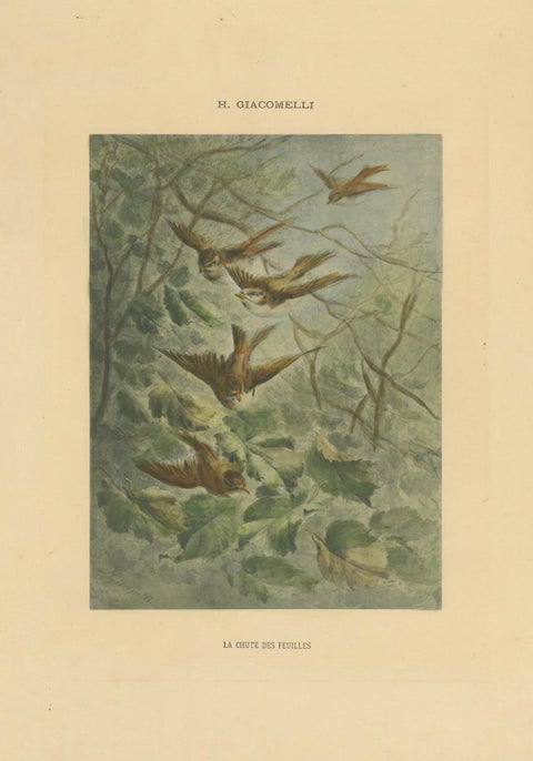 Autumn Flight - Giacomelli’s Sparrows in Falling Leaves, Circa 1891, close-up 4