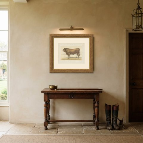Garonnais Bull, French Cattle Breed, Antique Chromolithograph by Borie, 1863, shown framed in a room