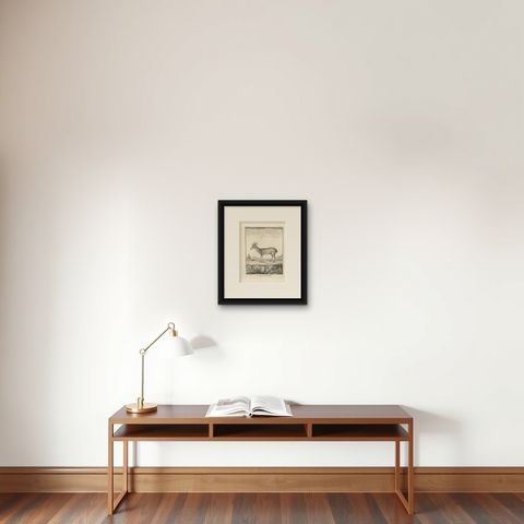Antique Print of a Deer Species by Fritzsch, c.1780, shown framed on a wall