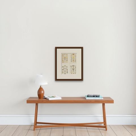 Set of 4 Antique Prints of Various Butterflies and Moths by Ramann, circa 1870, shown framed on a wall