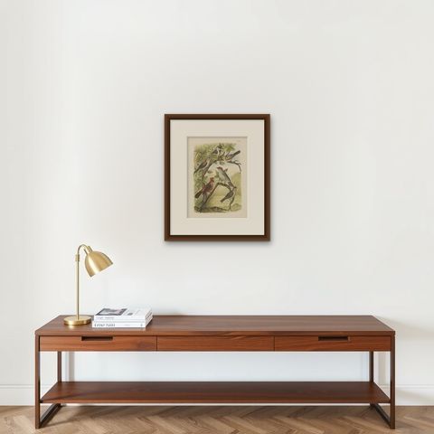 Antique Bird Print of the Red-Pileated Finch, Grosbeak and Sparrow (1886), shown framed on a wall