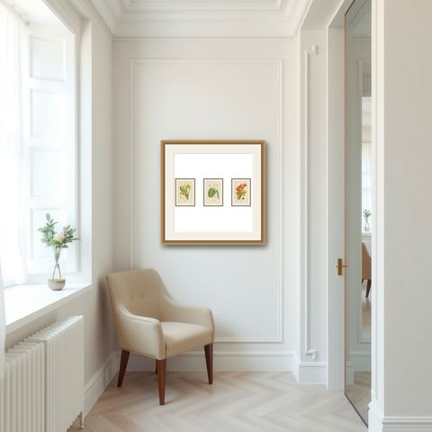 Set of 3 Antique Botanical Prints 1897, Lady’s Slipper, Maranta & Canna, shown framed in a room