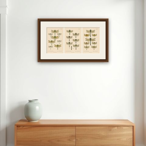 Set of Three Dragonfly & Damselfly Lithographs by Richard Tümpel, 1908, shown framed on a wall
