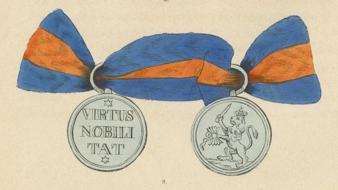 Orders of the Netherlands, Order of the Netherlands Lion, Plate LIII, 1844, close-up 2