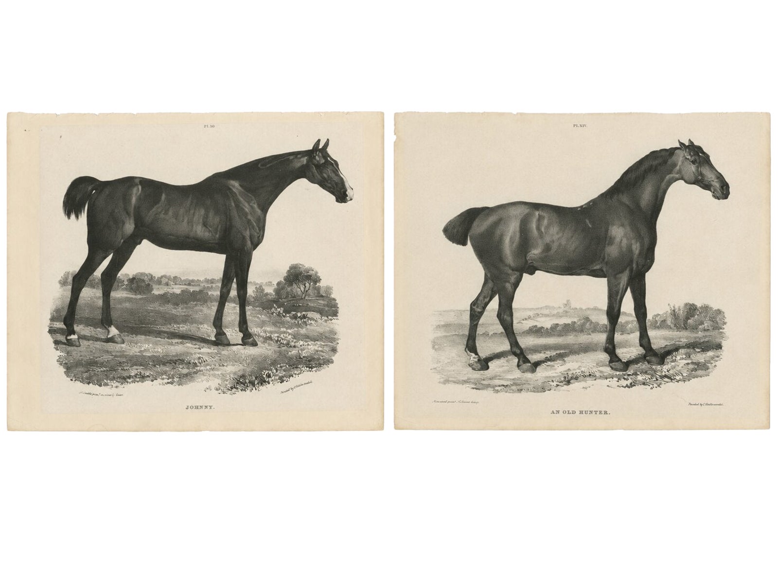 Johnny & An Old Hunter, Pair of Antique Sporting Horse Lithographs c.1840