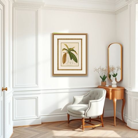 Antique Botanical Lithograph, Isonandra Gutta Percha Plant, de Vriese, 1856, shown framed in a room
