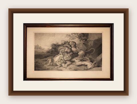 Raden Saleh Tigers & Lions Fight Horse Lithograph, The Hague c.1845, shown framed