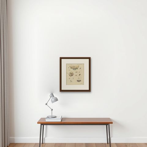 Fruit Moths with Caterpillar in a Cut Apple, Antique Bertuch Print, circa 1815, shown framed on a wall