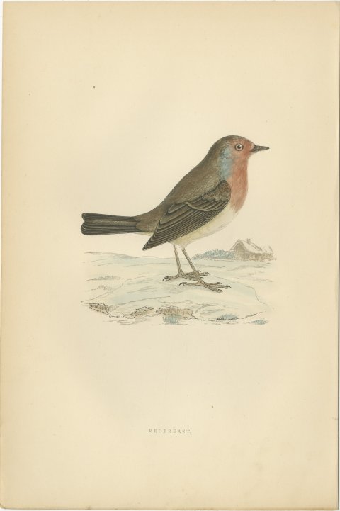Robin Redbreast in Winter Snow by a Thatched Cottage, Morris, 1896, view 2