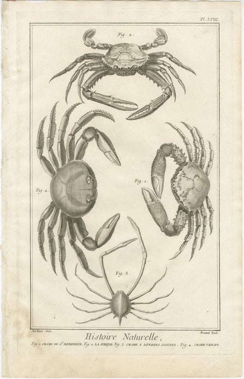Pair of Antique Engravings of Crabs - Diderot & d’Alembert’s Encyclopédie, 1770, view 3