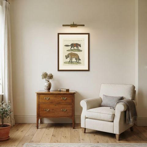 Cross Fox and Spotted Hyena, Antique Bertuch Print, Vienna, circa 1812, shown framed in a room
