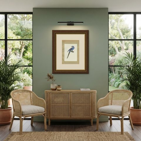 Hyacinth Macaw, Brazilian Bird Print, Descourtilz, 1944, shown framed in a room