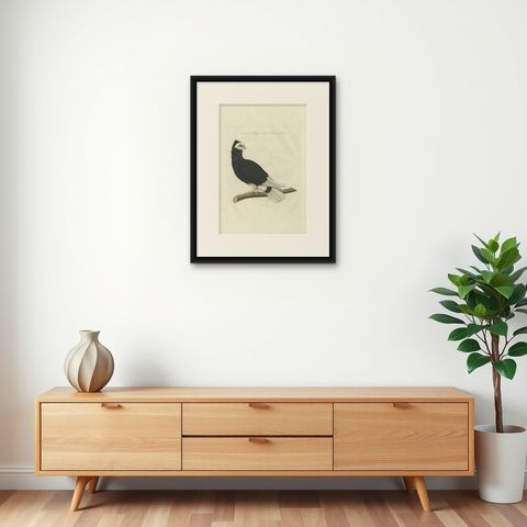 Antique Bird Print of the Jacobin Pigeon by Sepp & Nozeman, 1829, shown framed on a wall