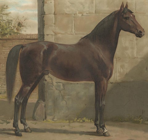 Antique Print of the East Prussian Horse by O. Eerelman, 1898, view 2