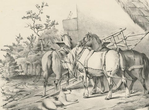 No. 20 Antique Print of Horses by Cooper, view 3