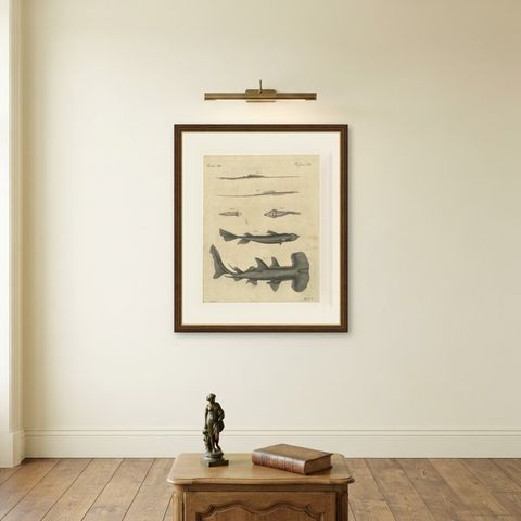 Hammerhead Shark with Pipefish and Sea Moths, Antique Bertuch Print, circa 1820, shown framed on a wall