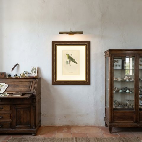 Wood Warbler in Yellow and Green, Hand Colored Morris Bird Plate, 1896, shown framed in a room