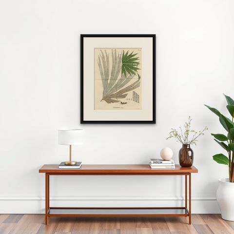 Large, Uniquely Handcolored Lithograph of Ferns of Indonesia 'Polypodium', 1829, shown framed on a wall