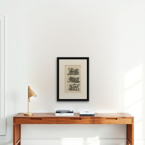 Antique Print of Various Dog Breeds "Tab LXIX" by J. Jonston, 1657, shown framed on a wall