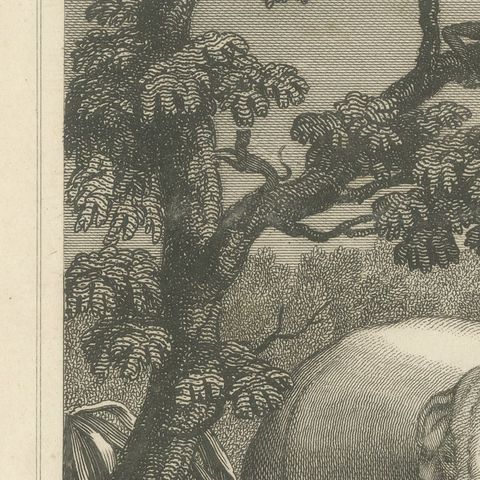 View in Sierra Leone, West Africa, Elephant, Antique Engraving, circa 1825, close-up 4