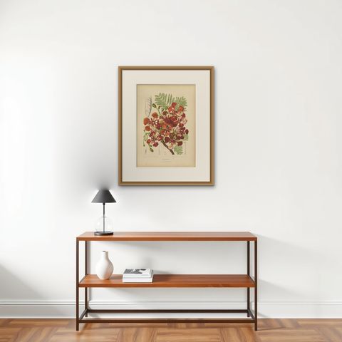 Antique Royal Poinciana Botanical Chromolithograph by Hoola van Nooten, c. 1880, shown framed on a wall