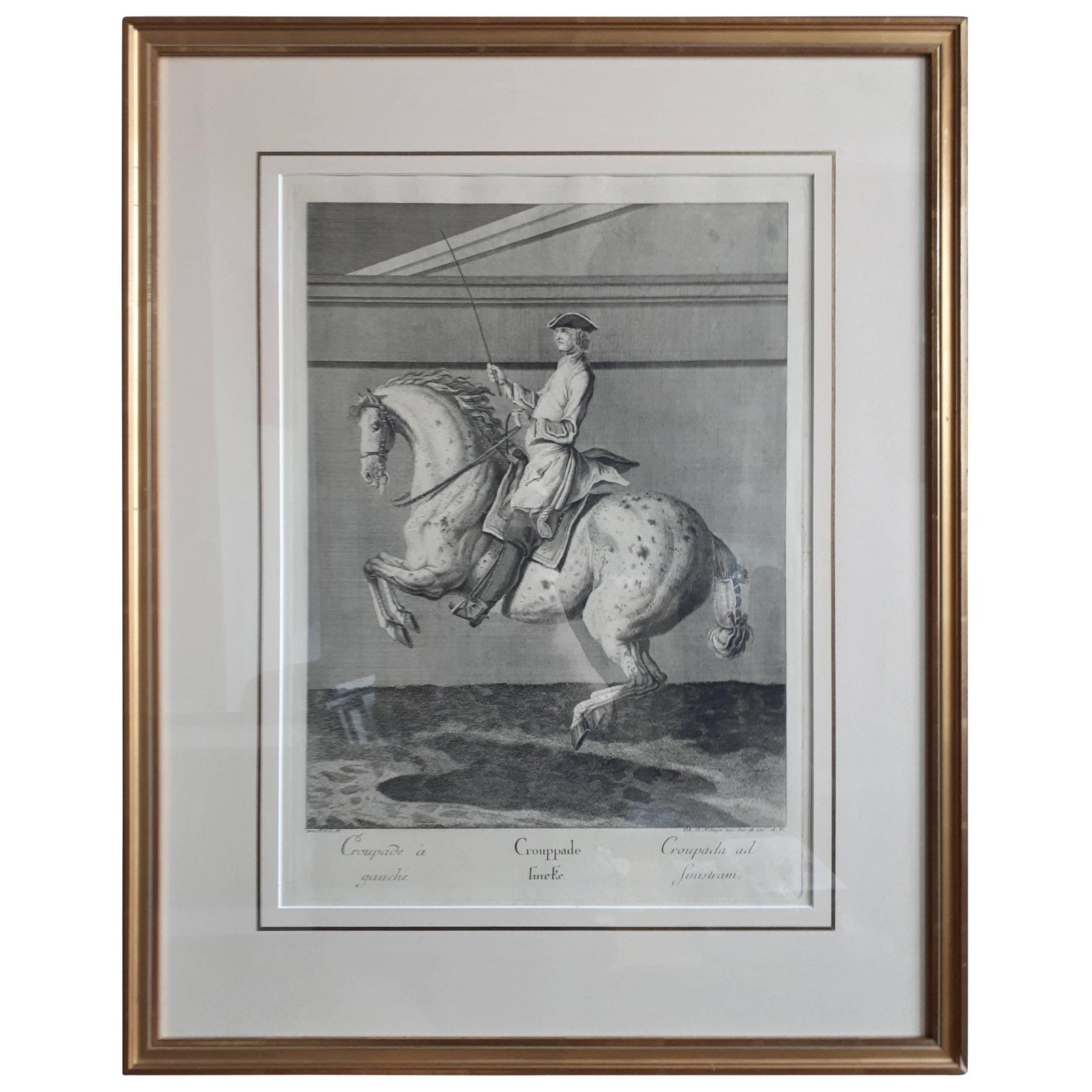 Antique Horse Print 'Croupade' by J. E. Ridinger, circa 1750