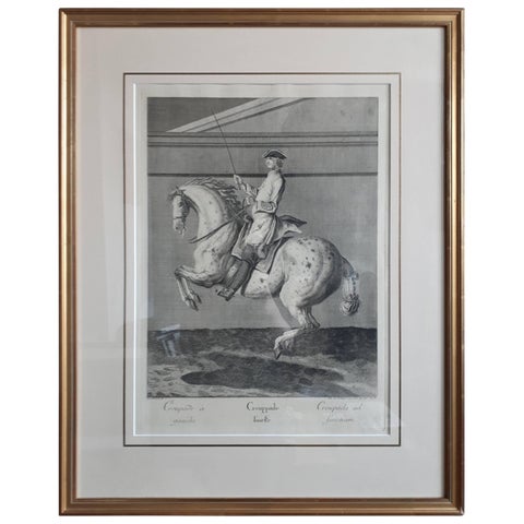 Antique Horse Print 'Croupade' by J. E. Ridinger, circa 1750