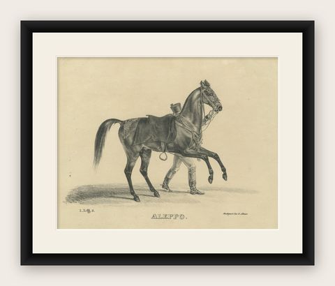 Antique Arabian Horse Lithograph “Aleppo” by August Jäger, 1846, shown framed