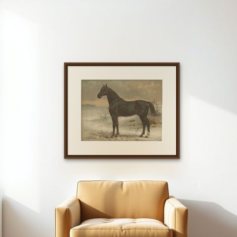 Antique Print of the Russian Half-Blood Horse by O. Eerelman, 1898, shown framed on a wall