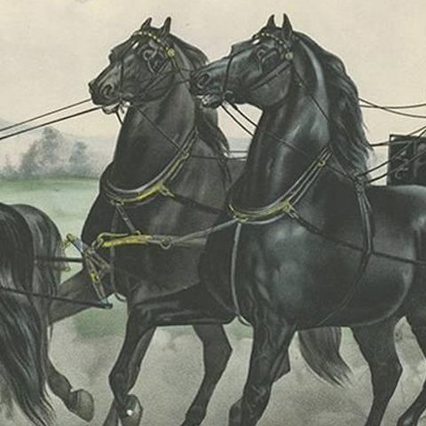 Antique Horse Print of the 'Four in Hand' Stallion Team, 1875, close-up 2