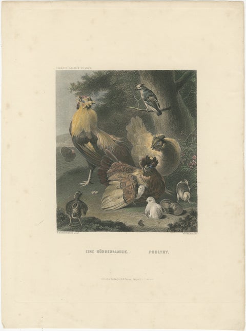 Tranquil Homestead: A Family of Chickens, circa 1860, view 2