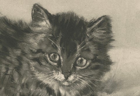Rascal - A Playful Antique Cat Print by Henriette Ronner, 1894, close-up 1