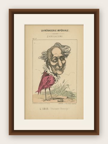 Imperial Menagerie: Zangiacomi - The Ibis (Fetishism - Deception), 1870, shown framed