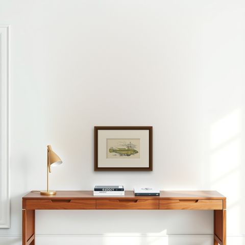 Antique Print of the Yellow Skulpin Fish by J. Couch, circa 1870, shown framed on a wall