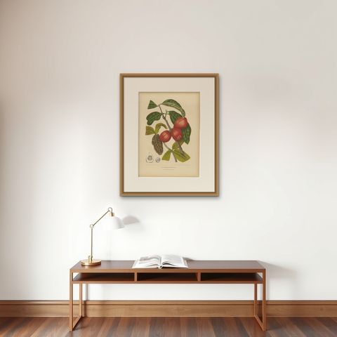 Antique Wax Apple Fruit Botanical Chromolithograph by Hoola van Nooten, c. 1880, shown framed on a wall