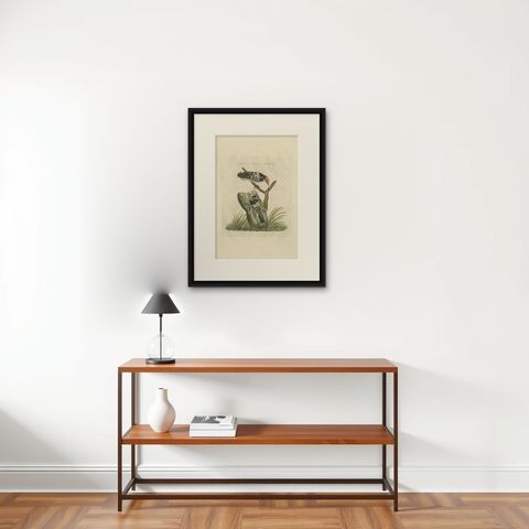 Lesser Spotted Woodpecker, Picus Varius Minor, c.1809, shown framed on a wall