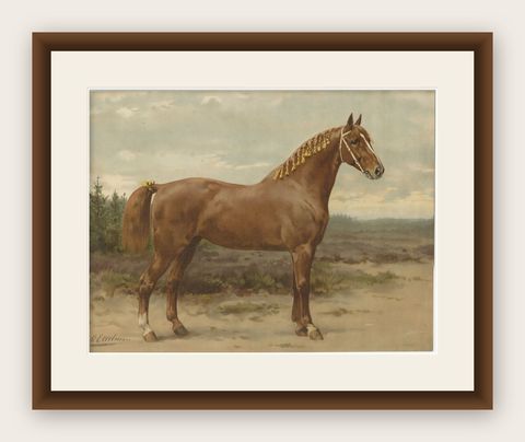 Antique Dutch Gelderland Horse Print by Otto Eerelman, 1898, shown framed