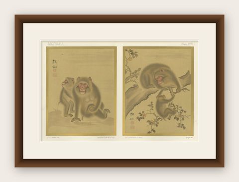 Japanese Monkey Prints: Serene 19th-Century Nature Studies with Peaches, shown framed