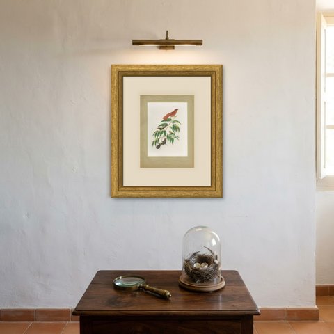 Tanagers on a Fruiting Branch, Brazilian Bird Print, Descourtilz, 1944, shown framed on a wall