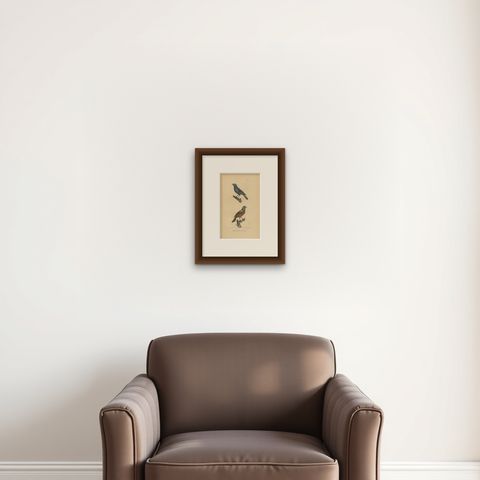 Pl. 55 Antique Bird Print of a Bunting & Bullfinch by Lejeune 'c.1830', shown framed on a wall
