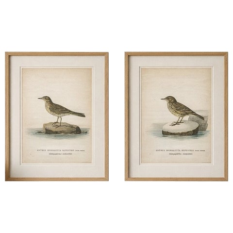 Minimalist Scandinavian Bird Lithographs, Nordic Alpine Pipit Study Pair, 1929